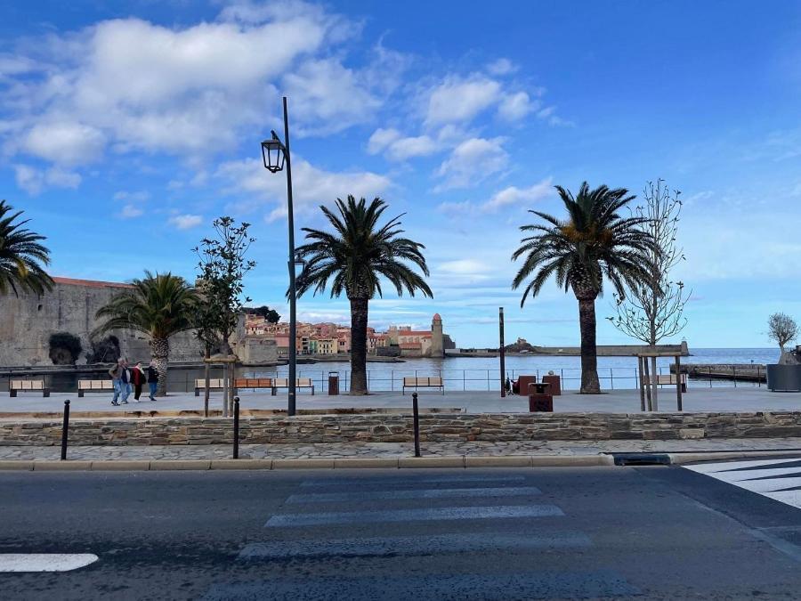 5Demo54 - Appartement Tres Proche Plage Et Toutes Commodites 科利尤尔 外观 照片