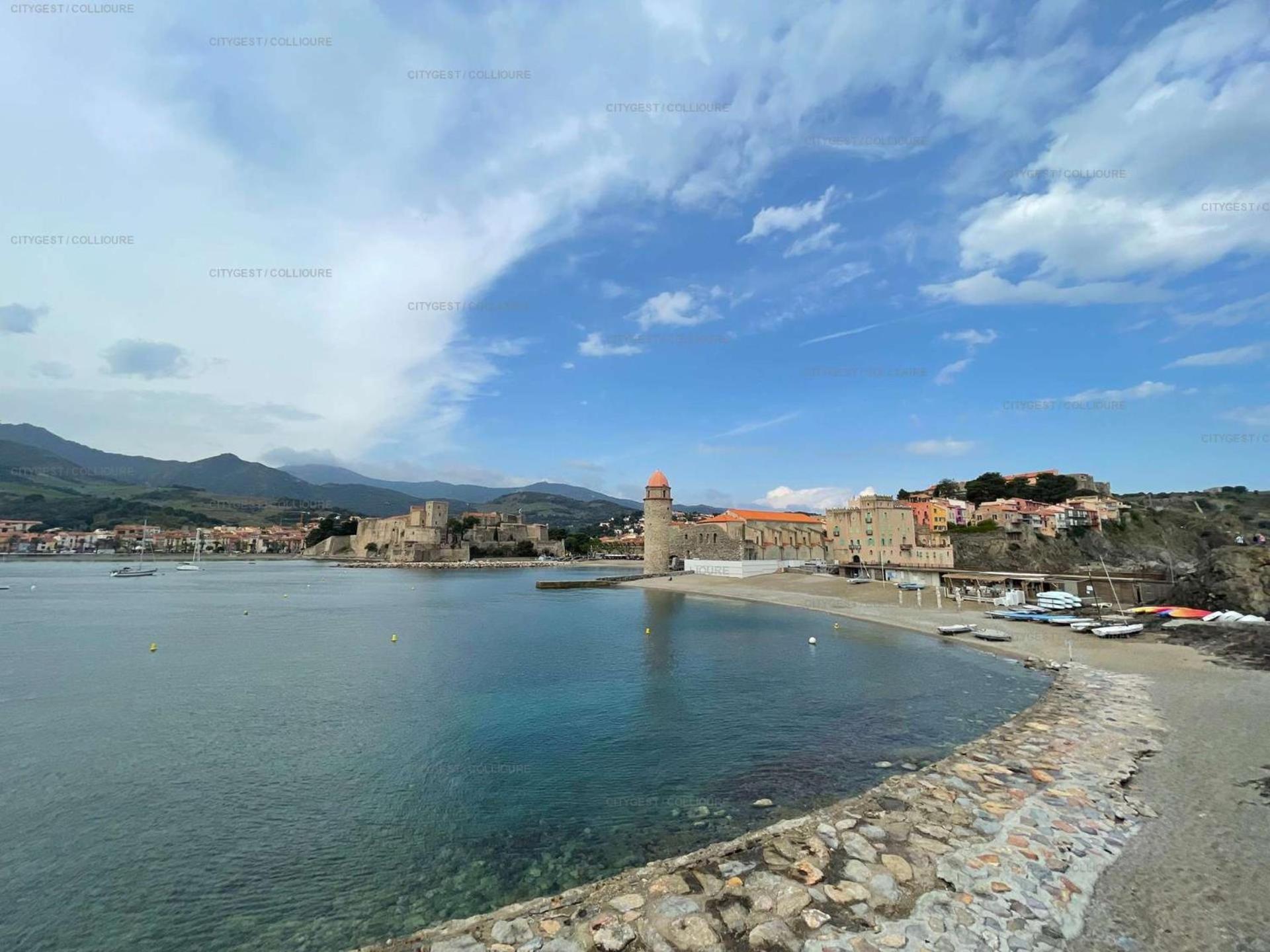 5Demo54 - Appartement Tres Proche Plage Et Toutes Commodites 科利尤尔 外观 照片