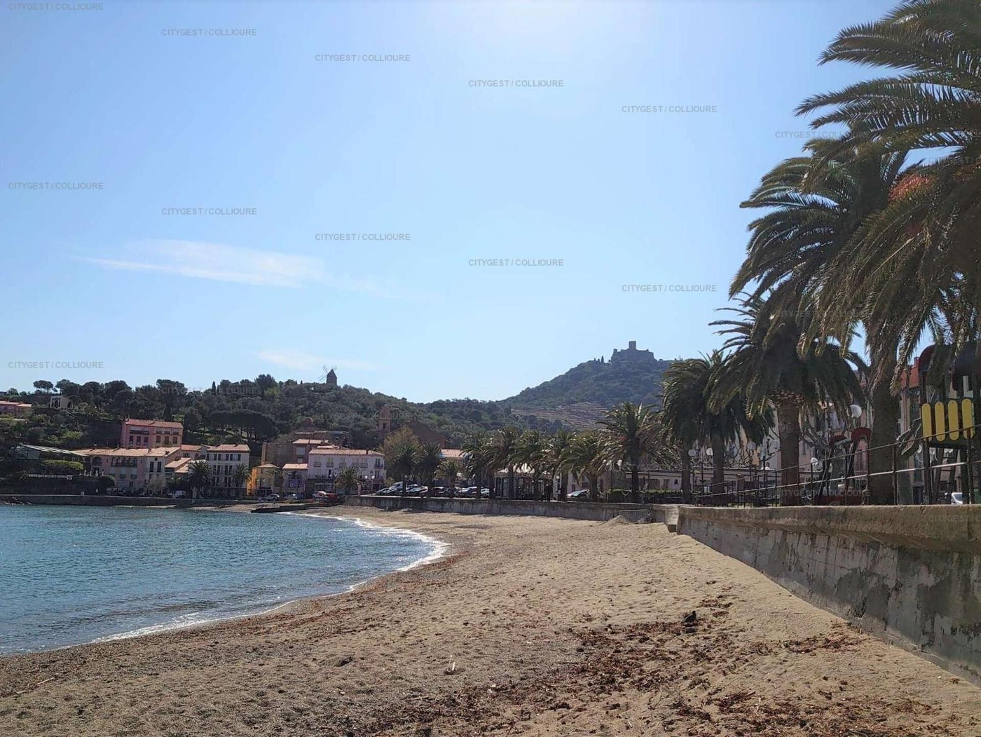 5Demo54 - Appartement Tres Proche Plage Et Toutes Commodites 科利尤尔 外观 照片